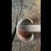 画像13: NAVAJO ナバホ族　HermanSmith　ハーマンスミス　Godber　ターコイズバングル