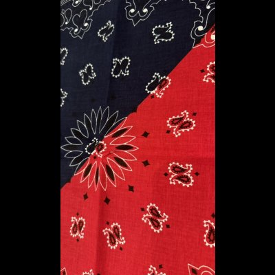 画像2: BANDANNAS  バンダナ　MADE IN U.S.A.　　スピリットペイズリー
