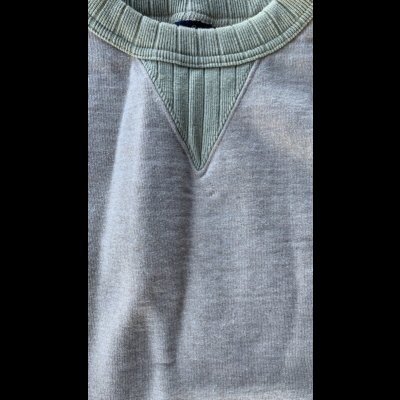 画像3: STUDO D' ARTISAN　 ステュディオ.ダ.ルチザン　FOXコットン　クレイジースウェット