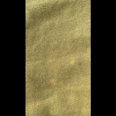 画像6: STUDO D' ARTISAN  ステュディオ.ダ.ルチザン リバーススウェット  YE