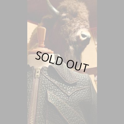 画像6: NAKED SUN   PROMISED LAND  ネイキッドサン　プロミスドランド　　DARK BROWN　　44インチ