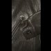 画像7: FINE CREEK&CO ファインクリーク・アンド・コー ArrowGoat アローゴート BLACK