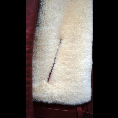 画像6: FINE CREEK&CO ファインクリーク・アンド・コー Innocence イノセンス Horse  Sheep RED/WHITE