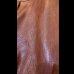 画像10: ２０２５AW　予約商品　HIGH LARGE LEATHERS ハイラージレザーズ　NEW CASTLE HTD   BROWN