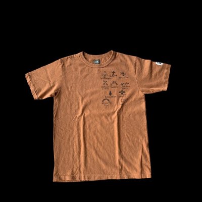 画像1: GUNZ ガンズ　ネイティブＴＥＥシャツ　ティーシャツ GUNZ  NUT BROWN