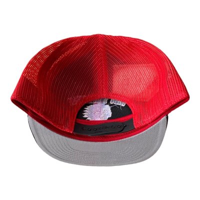 画像4: GUNZ ガンズ メッシュキャップ OHIO WESLEYAN CAP