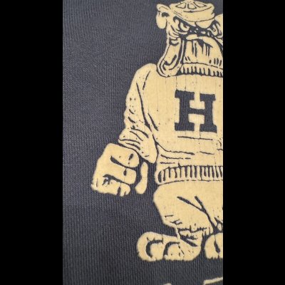 画像4: GUNZ ガンズ 　フロッキープリントスウェット　BLUE