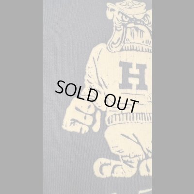 画像4: GUNZ ガンズ 　フロッキープリントスウェット　BLUE