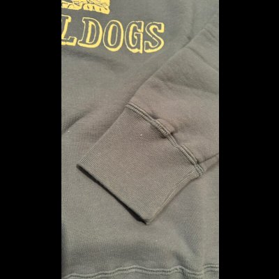 画像6: GUNZ ガンズ 　フロッキープリントスウェット　BLUE