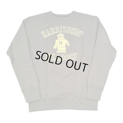 画像1: GUNZ ガンズ 　フロッキープリントスウェット　BLUE