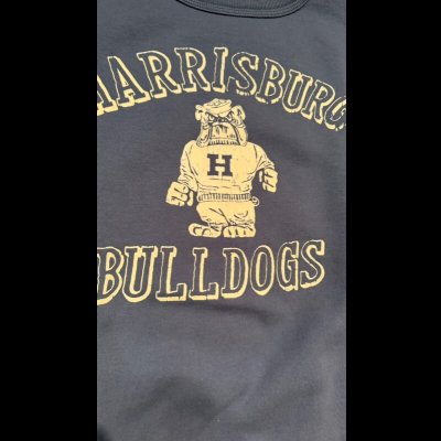 画像3: GUNZ ガンズ 　フロッキープリントスウェット　BLUE