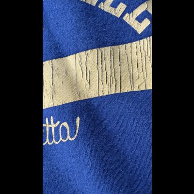 画像4: GUNZ ガンズ 　プリントフードスウェット CATONSVILLE　NAVY