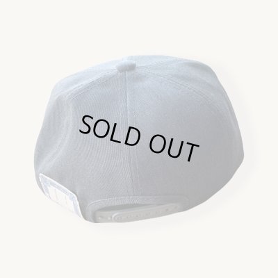 画像3: THE H.W.DOG&CO TRUCKER CAP 限定カラーGRAY グレー