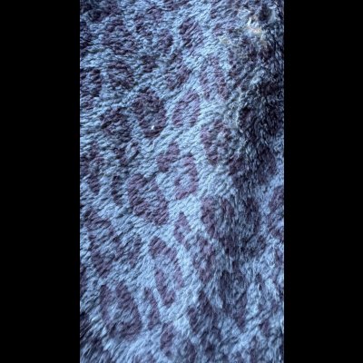 画像5: MOSSIR モシール   Lucua BoaFleece Pants BLUE WHITE