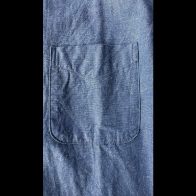 画像4: JELADO(ジェラード）Madison マディソン　BD　shirt 　インディゴ
