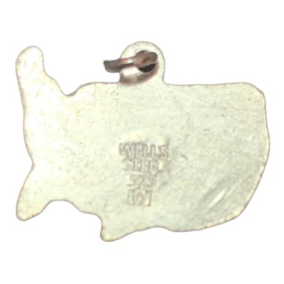 画像4: Wells Starling Silver　６６別注アメリカチャームネックレス