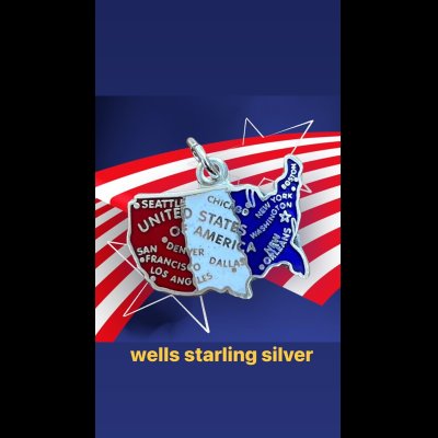 画像1: Wells Starling Silver　６６別注アメリカチャームネックレス