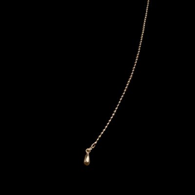 画像7: Wells Starling Silver　６６別注アメリカチャームネックレス