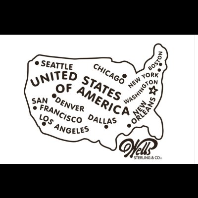 画像8: Wells Starling Silver　６６別注アメリカチャームネックレス