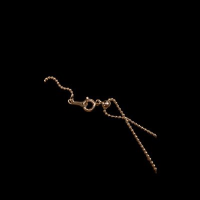 画像6: Wells Starling Silver　６６別注アメリカチャームネックレス