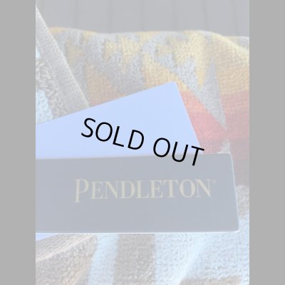 画像6: Pendleton  ペンドルトン ビーチタオル Chief Joseph チーフジョセフ
