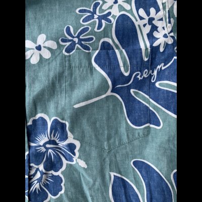 画像3: REYN SPOONER レインスプーナー　’９０年代〜タグ　アロハシャツ　ハワイアンシャツグリーン