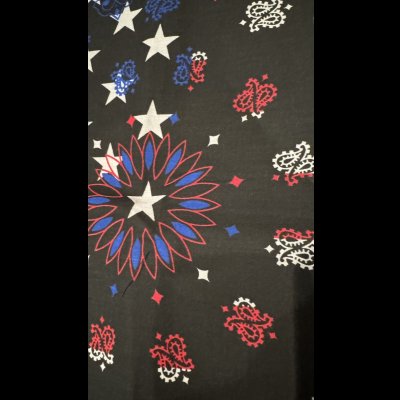 画像2: BANDANNAS  バンダナ　MADE IN U.S.A.　　ブラックペイズリーフラッグ