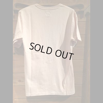 画像7: JELADO ジェラード  Big 3 TEE