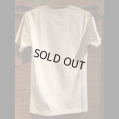 画像3: JELADO ジェラード  Big 3 TEE