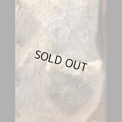 画像6: JELADO（ジェラード） Cobain(コバーン) ペアグリーン