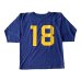 画像1: JELADO ジェラード No18　Football Tee　Old Navy (1)