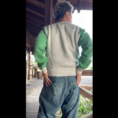 画像9: JELADO ジェラード　Champs Sweat 2Tone  ソルト＆ペッパー・ミント