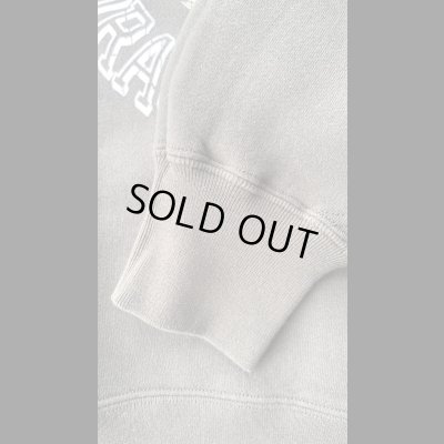 画像6: JELADO ジェラード　Dragon Heads  Sweat