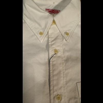 画像3: JELADO(ジェラード）Madison マディソン　BD　shirt ホワイト