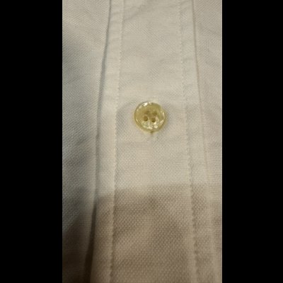 画像6: JELADO(ジェラード）Madison マディソン　BD　shirt ホワイト