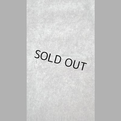 画像5: JELADO（ジェラード） Cobain(コバーン) Ash