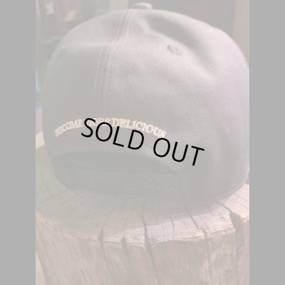 画像9: Sugar&CO  Washable Sugar Cap  シュガーキャップ