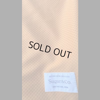 画像5: Sugar&Co シュガーアンドコー　Drop mesh  tee  ドロップメッシュTシャツ