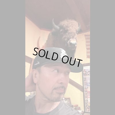 画像8: Sugar&CO  Washable fittedcap Sugar Cap  シュガーキャップ  Black