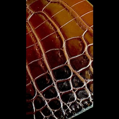 画像4: ITUAIS(イトゥアイス）　H.C.Pクロコダイル　ポロサスラウンドジップロングウォレット　BLACK