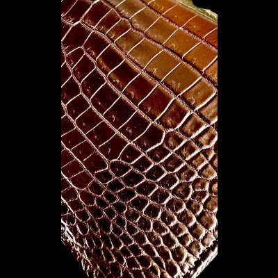 画像5: ITUAIS(イトゥアイス）　H.C.Pクロコダイル　ポロサスラウンドジップロングウォレット　BLACK