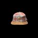 画像4: THE H.W.DOG&CO  PLAID TWO TONE CAP (4)