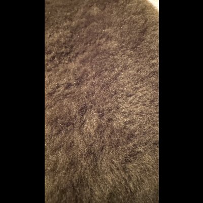 画像21: BOOTES  ボーテス　AUROCHS　近日入荷予定　予約開始