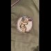 画像10: CUSHMANクッシュマン BASEBALL SHIRT   OFF  OLIVE