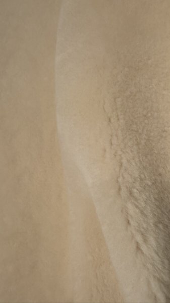 画像8: FINE CREEK  C-WORKS　Dout ダウト　Mouton riders Jacket　　IVORY (8)