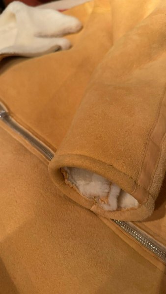 画像4: FINE CREEK  C-WORKS　Dout ダウト　Mouton riders Jacket　　IVORY (4)