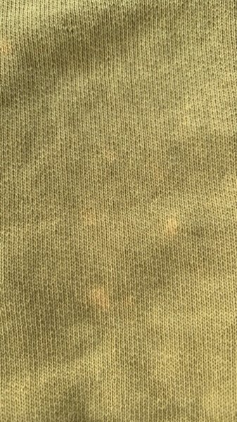 画像6: STUDO D' ARTISAN  ステュディオ.ダ.ルチザン リバーススウェット  YE (6)