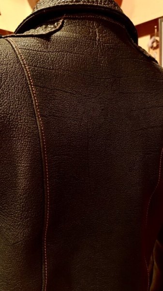 画像5: NAKED SUN   PROMISED LAND  ネイキッドサン プロミスドランド  DARK BROWN (5)