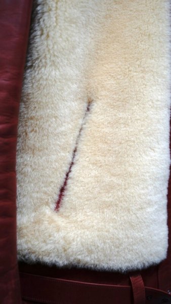 画像6: FINE CREEK&CO ファインクリーク・アンド・コー Innocence イノセンス Horse  Sheep RED/WHITE (6)