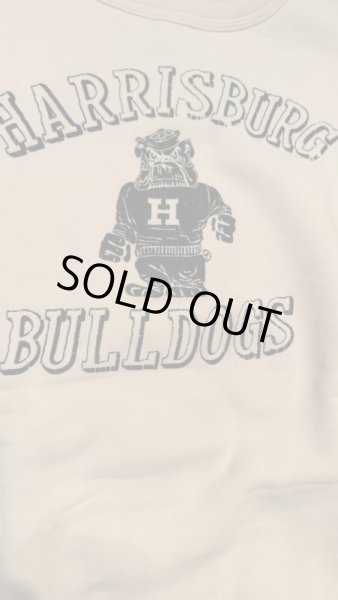 画像3: GUNZ ガンズ 　フロッキープリントスウェット　NATURAL (3)